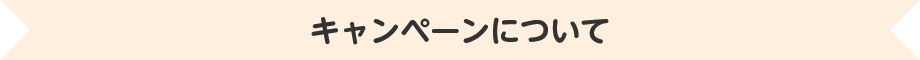 キャンペーンについて
