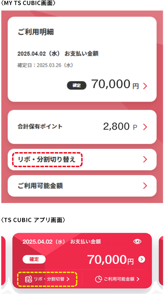 MY TS CUBIC画面・TSCUBICアプリ画面