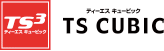 TS CUBIC CARD