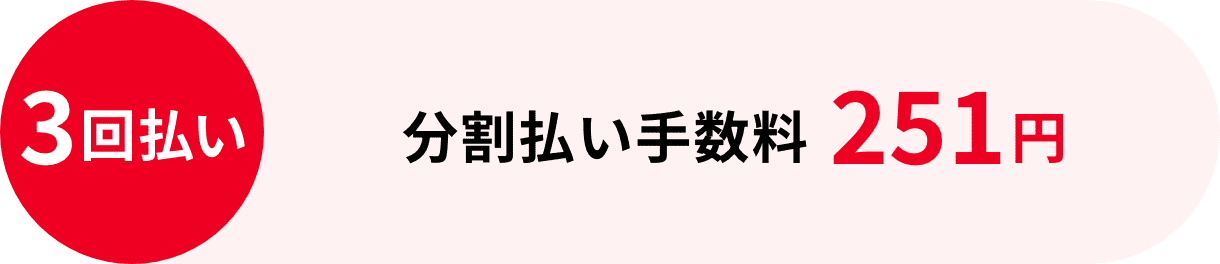 3回払い：分割払い手数料251円