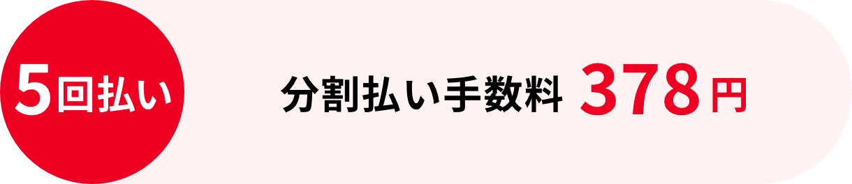 5回払い：分割払い手数料378円