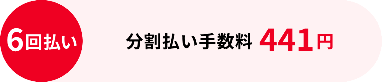 6回払い：分割払い手数料441円