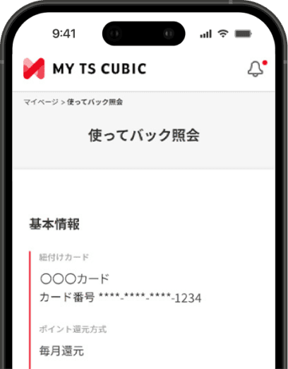 TS CUBIC CARD