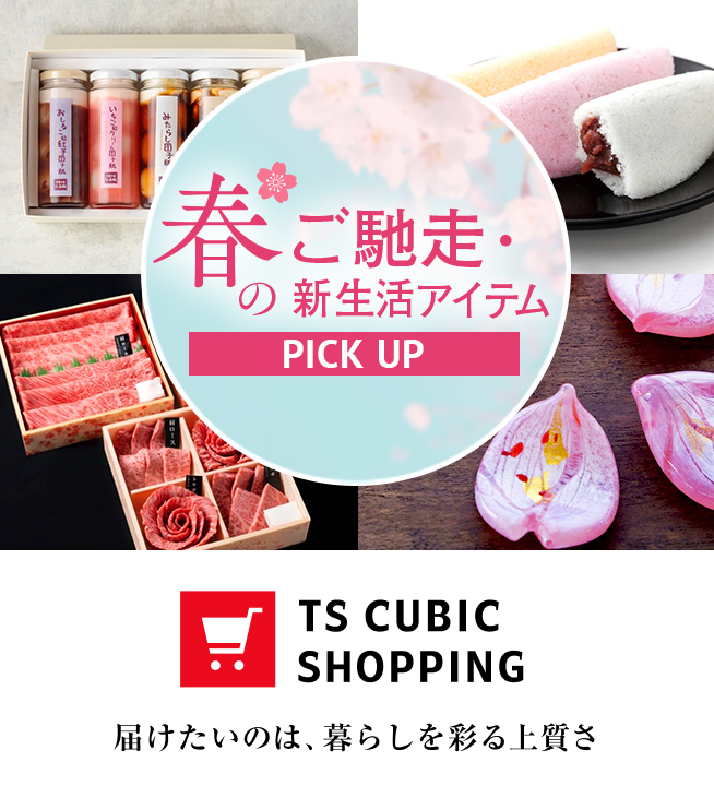 TS CUBIC WEBサイト