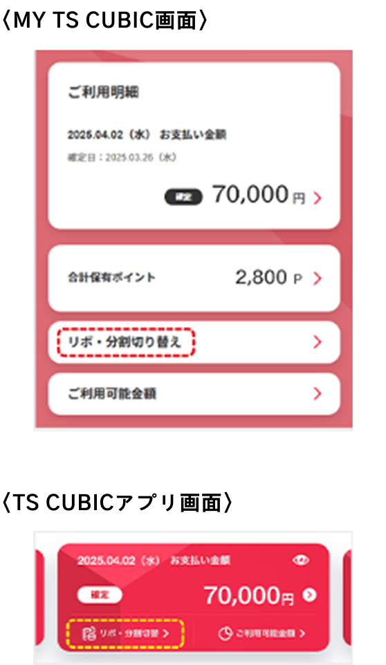 MY TS CUBIC 画面 TS CUBIC アプリ画面
