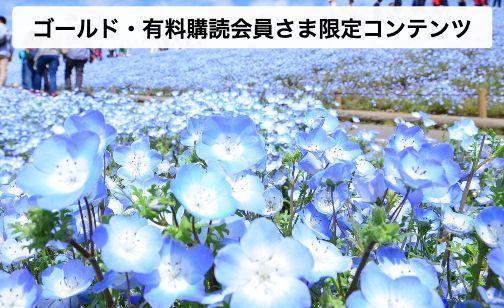 Harmonyデジタル
