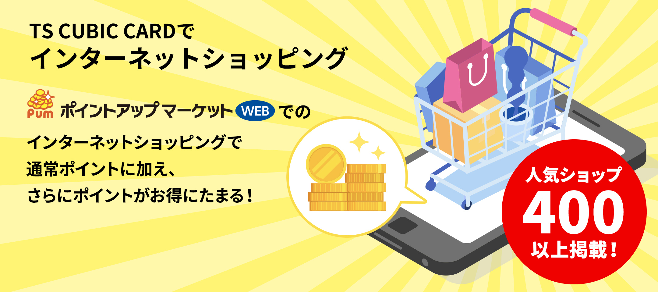 TS CUBIC CARDでネットショッピング