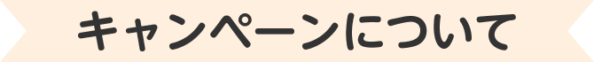 キャンペーンについて